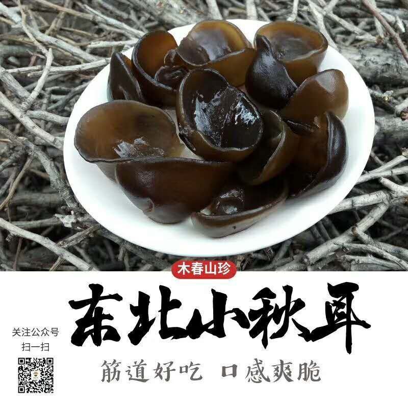 辽宁省本溪市秋木耳，批发，零售