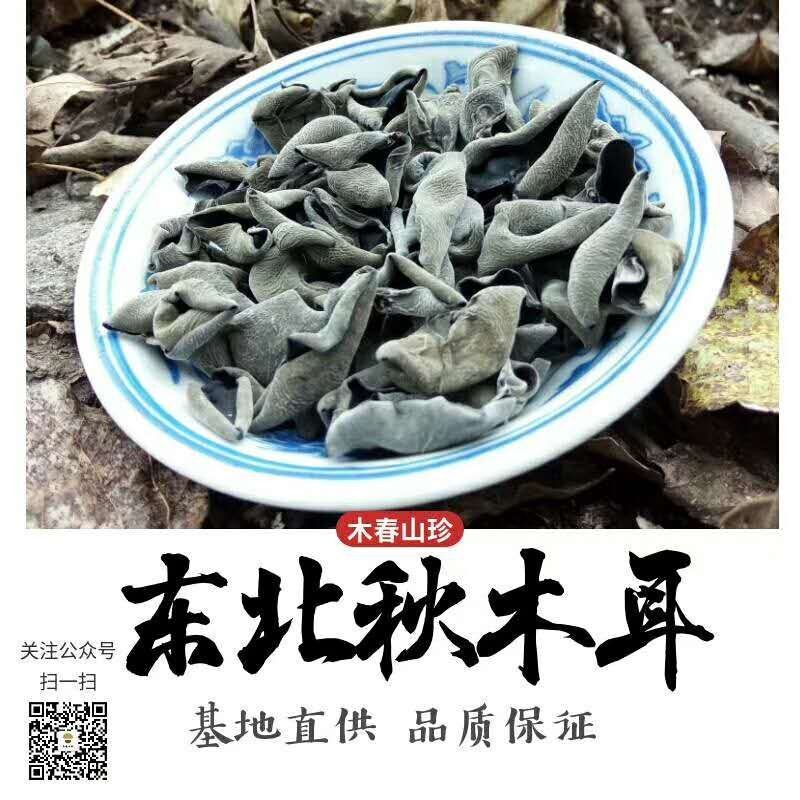 辽宁省本溪市秋木耳，批发，零售