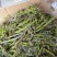 珍虫石斛一手货源，肉质饱满，一手货源，批发
