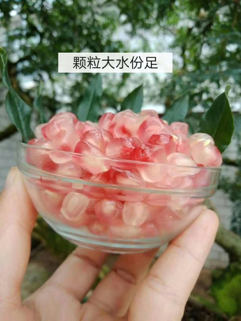 云南蒙自甜石榴