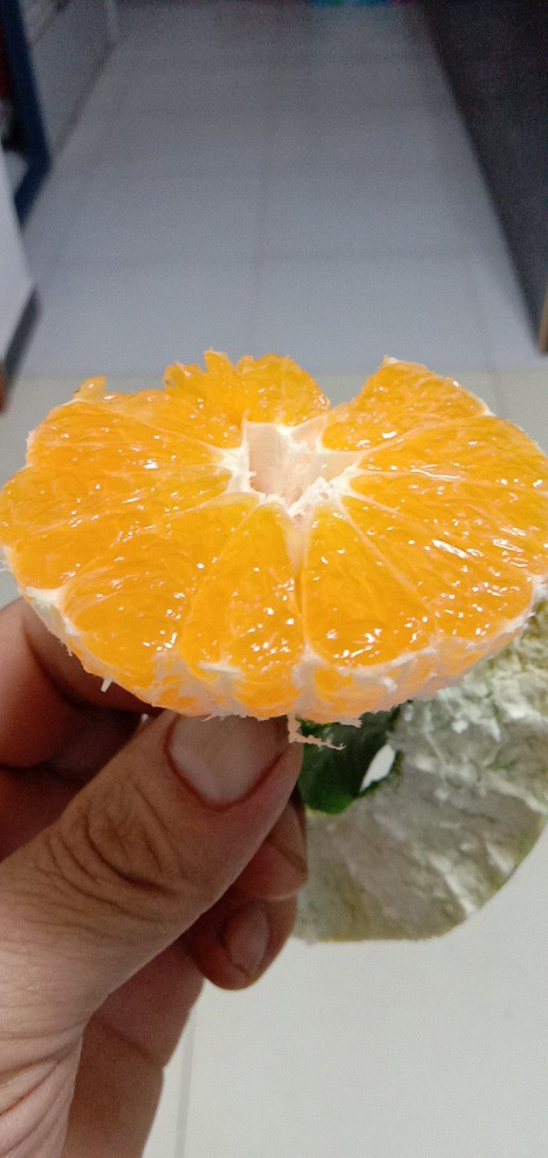 水果密桔