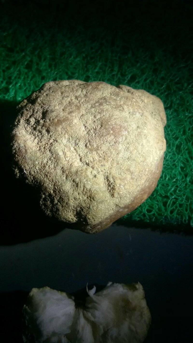 缅甸翡翠原石大马坎