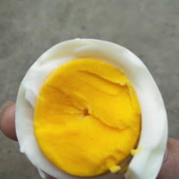 自家养殖无饲料鸡蛋