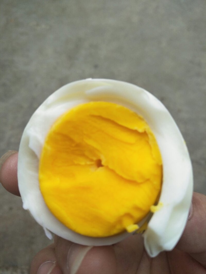 自家养殖无饲料鸡蛋