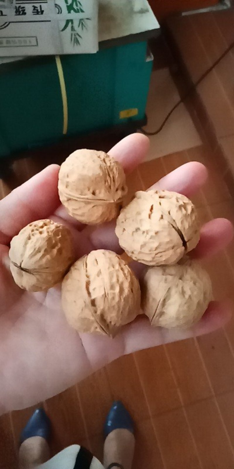 云南103纸皮核桃