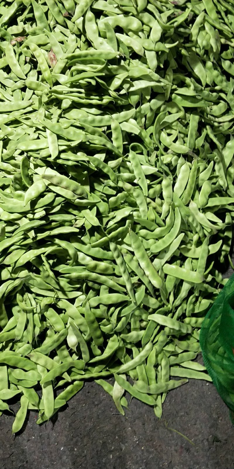 油豆