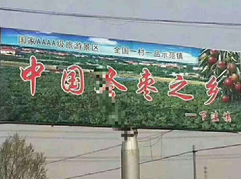 沾化冬枣