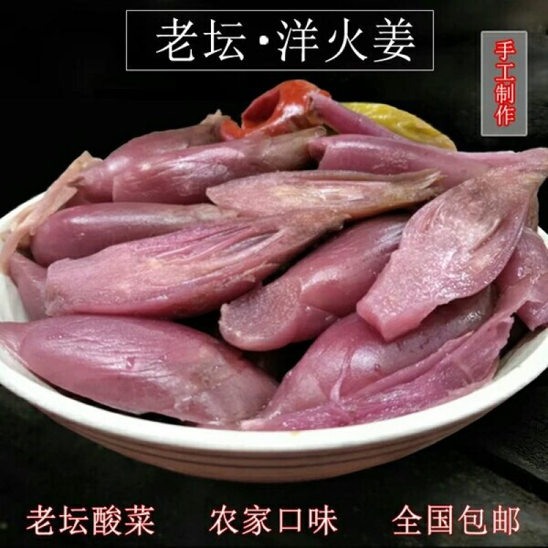 大别山洋荷姜种苗红姜品种