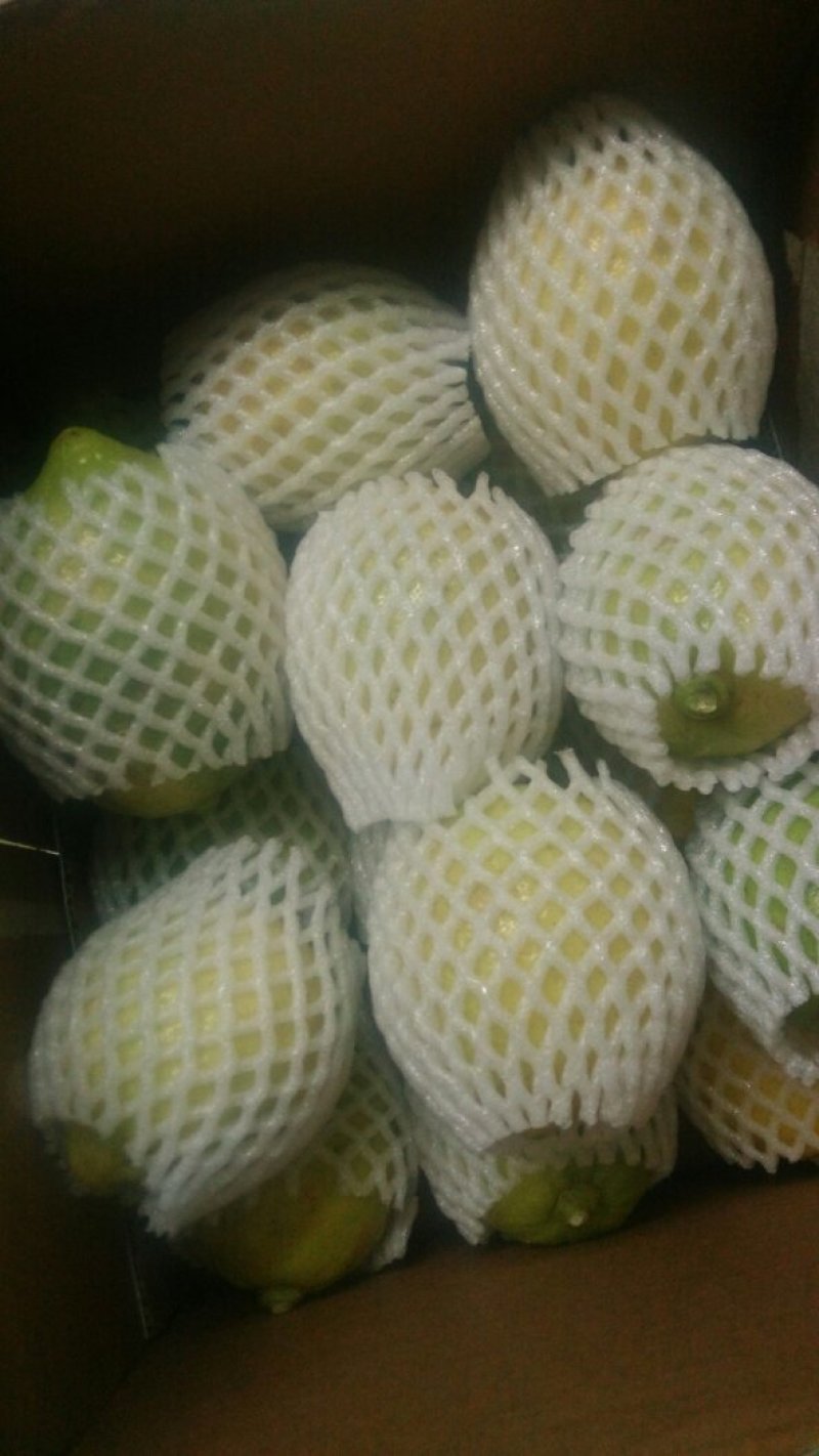 自家果园现摘广东香水柠檬，每件5斤，包邮