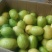自家果园现摘广东香水柠檬，每件5斤，包邮