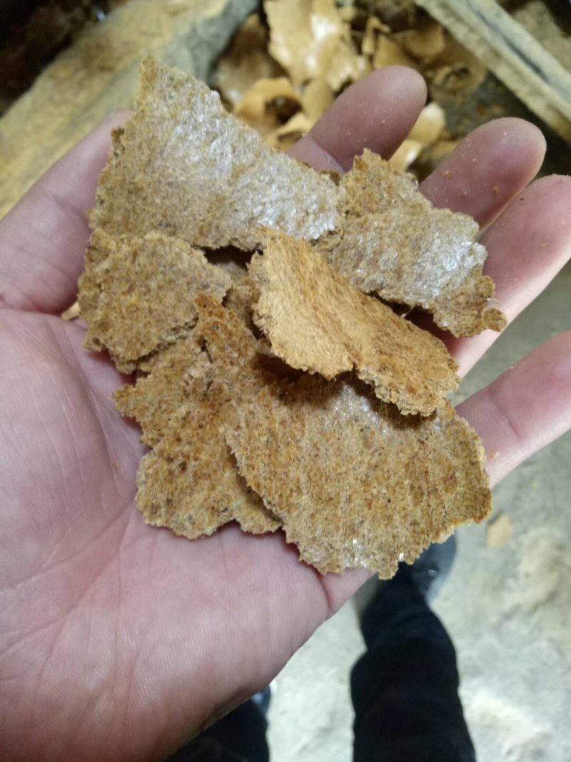 胚芽饼
