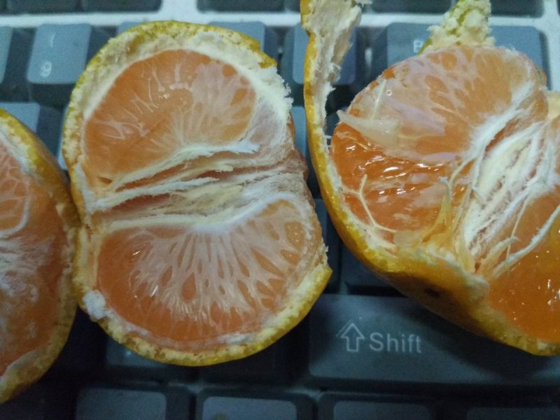 蜜橘🍊啊啊啊啊啊啊啊啊