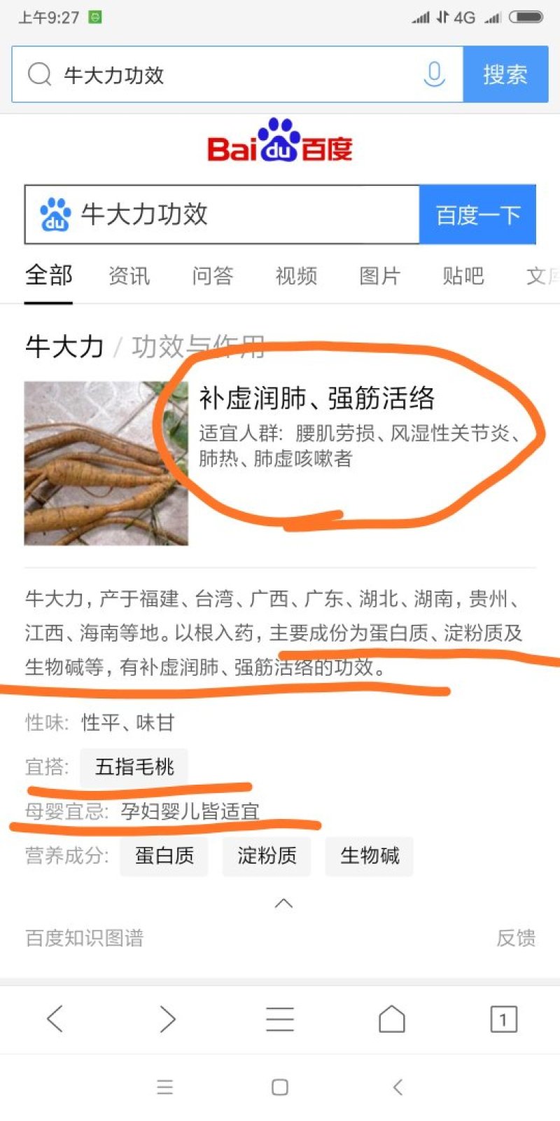 野生牛大力，无硫，牛大力干片通货根部阴枝切片