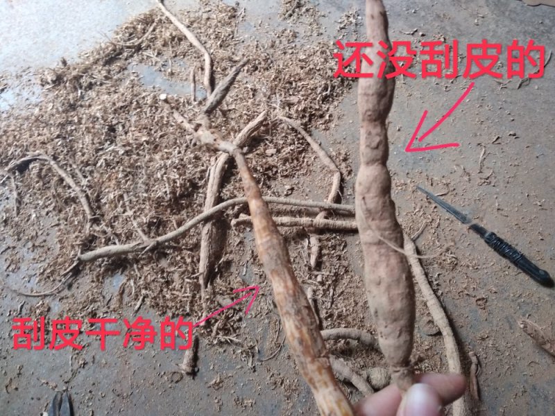 野生牛大力，无硫，牛大力干片通货根部阴枝切片