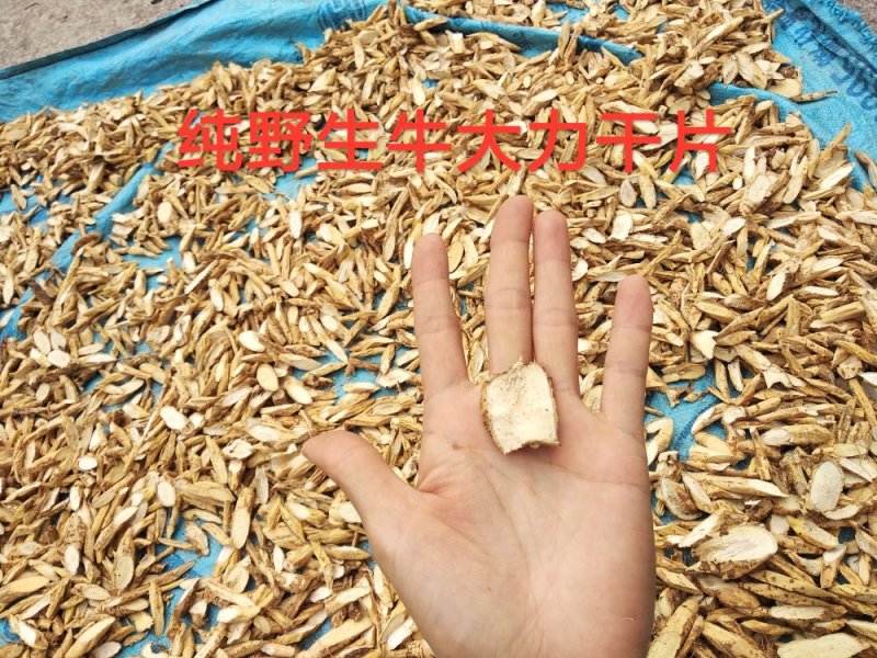 野生牛大力，无硫，牛大力干片通货根部阴枝切片