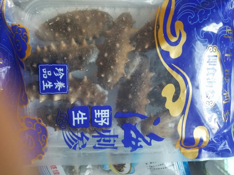即时海参