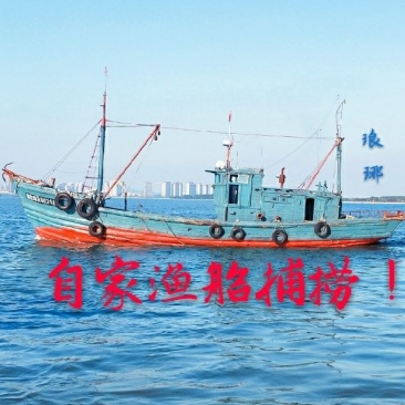 梭子蟹
