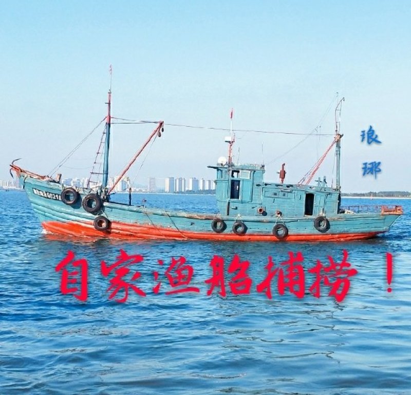 梭子蟹