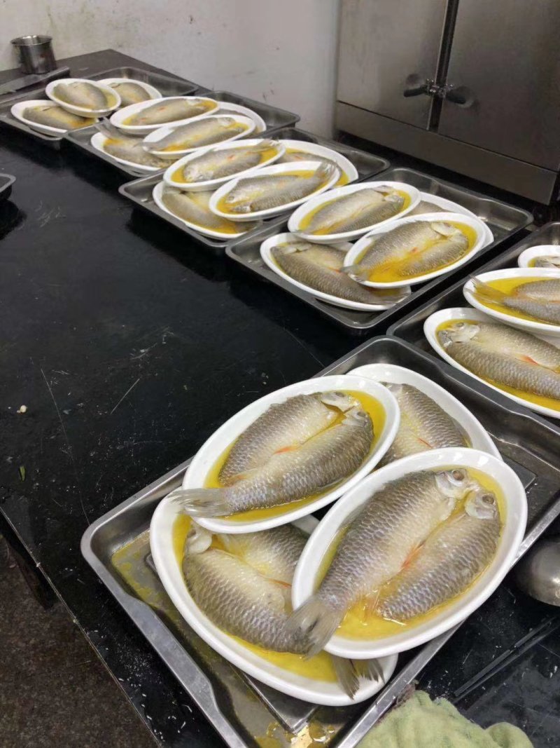 餐饮食材供应链