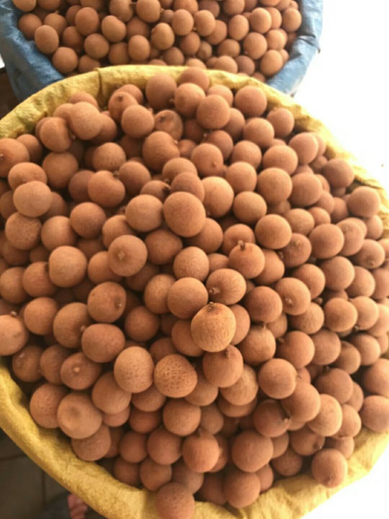 龙眼干