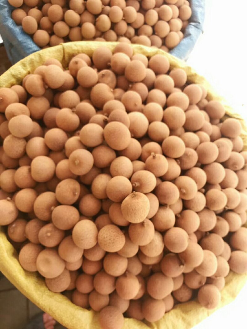 龙眼干