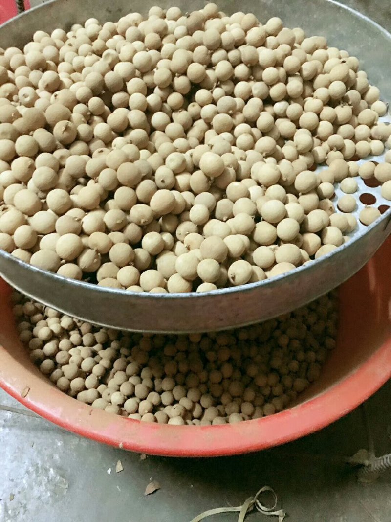 龙眼干