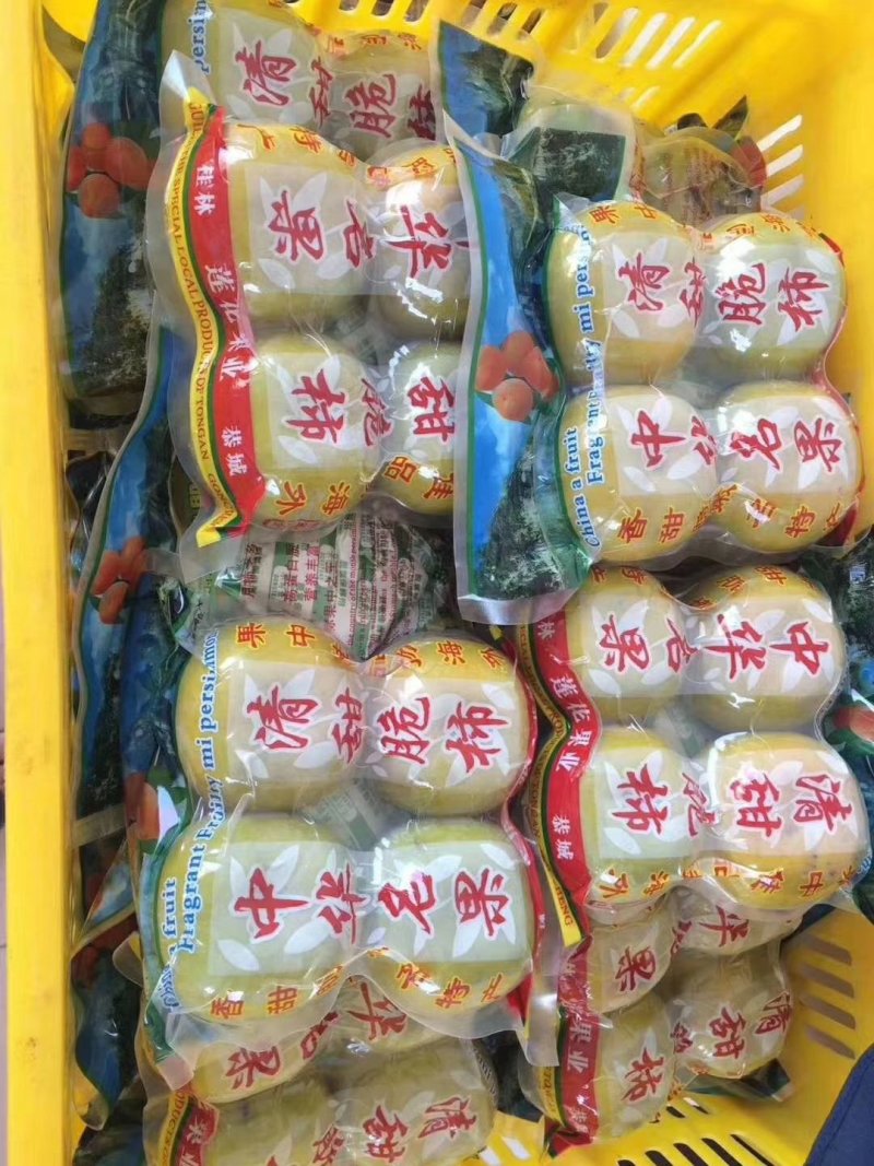 新鲜又大又甜的桂林恭城脆柿