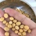 大豆中等