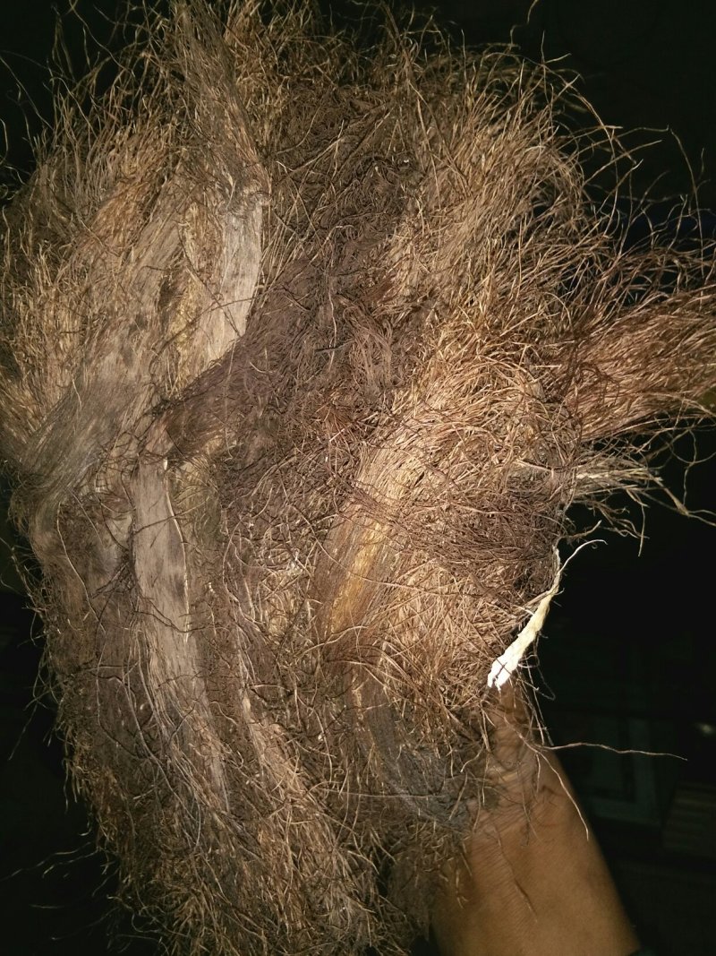 玉米须药用玉米须，高原药物品质保证货源充足