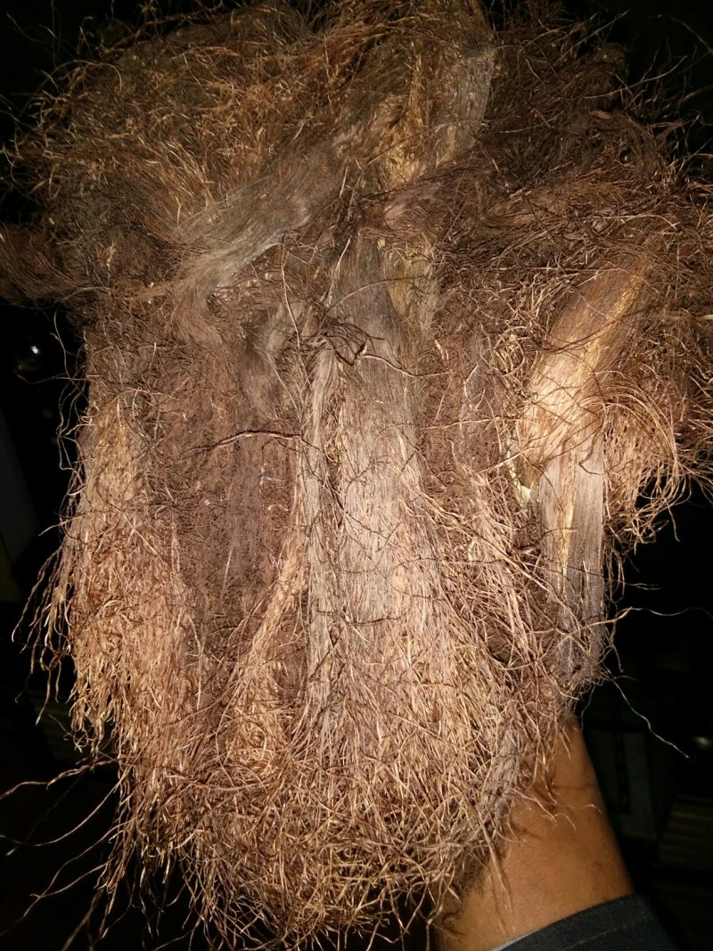 玉米须药用玉米须，高原药物品质保证货源充足