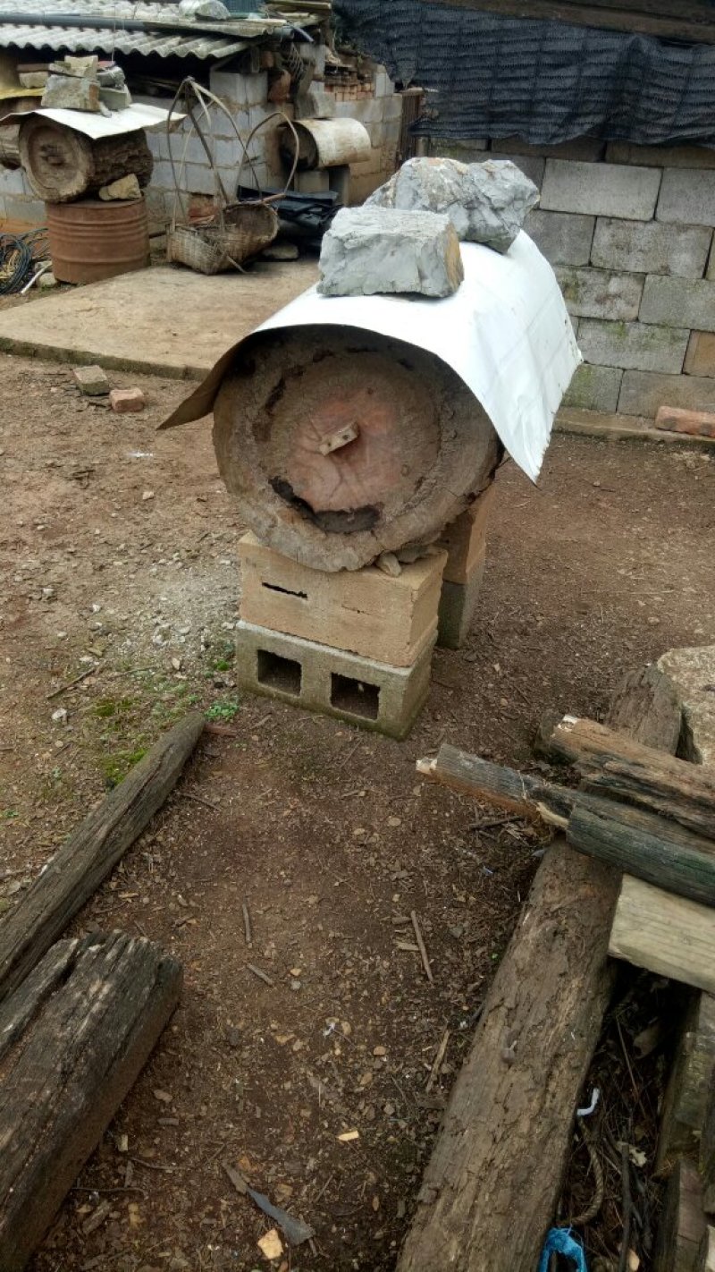 自养野生蜂蜜250元一公斤