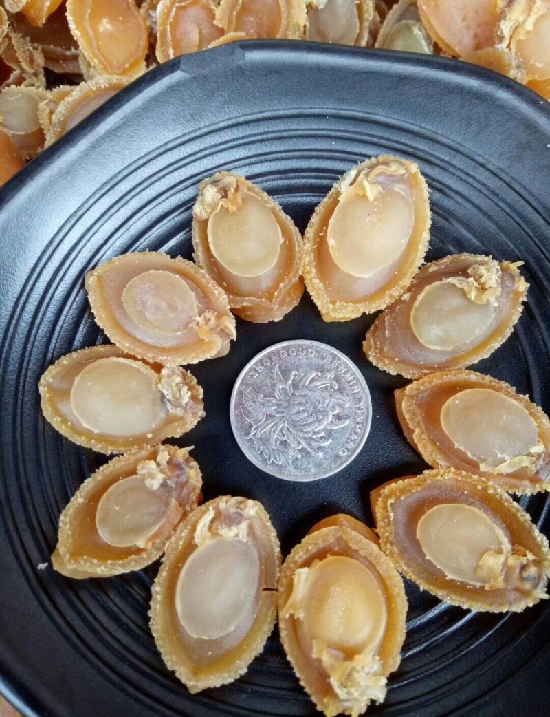 大连200头小鲍鱼一斤600块包邮