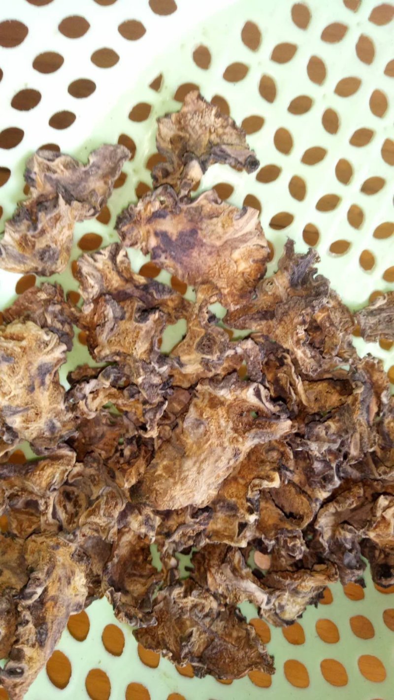 芡实根芡实头