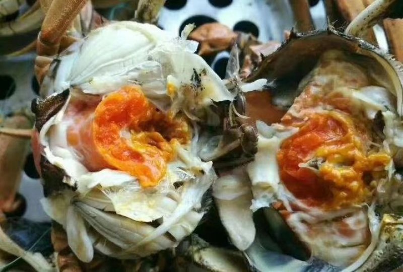 盘锦河蟹