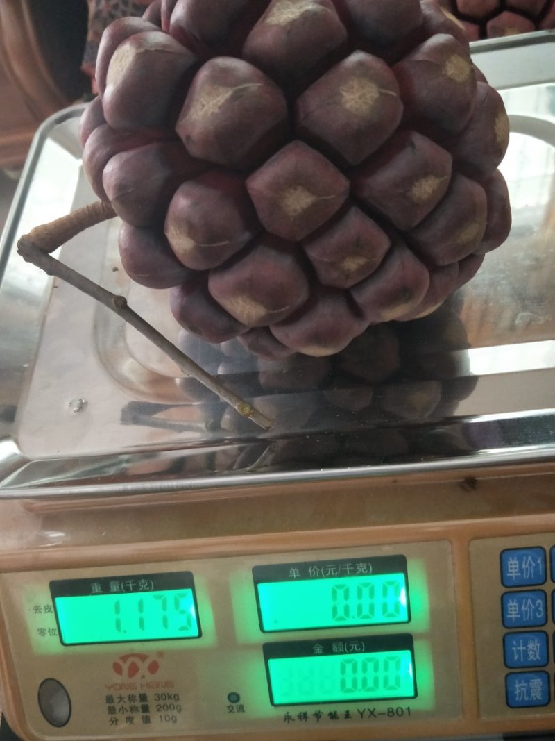 布福娜，黑老虎礼盒198元一箱5斤
