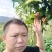 布福娜，黑老虎礼盒198元一箱5斤