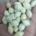 银杏果(包邮)
