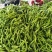 尖椒圆椒，线椒西胡芦，豆角青茄子大量上市望新老客户前来采
