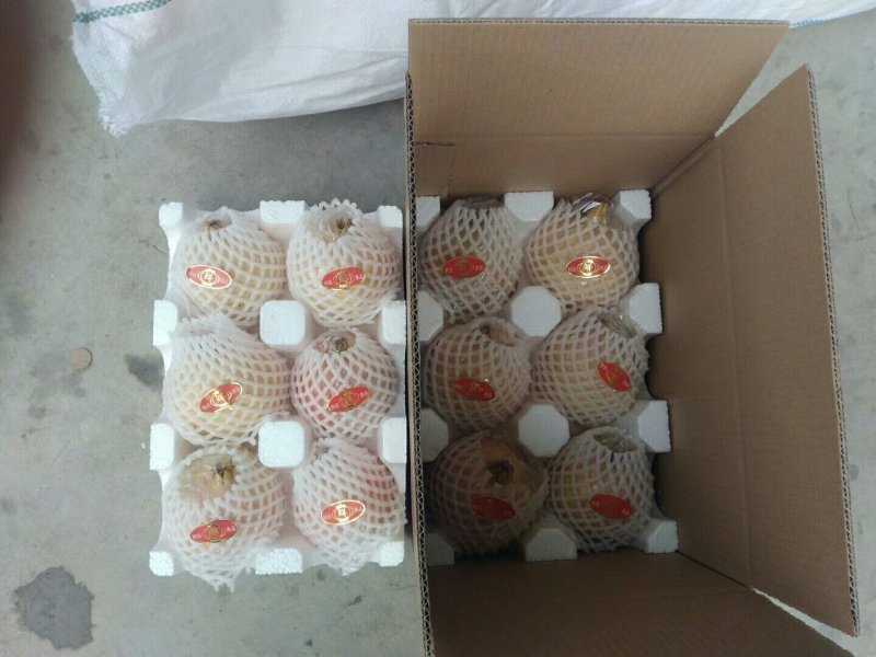 临潼石榴--6个试吃装35包邮