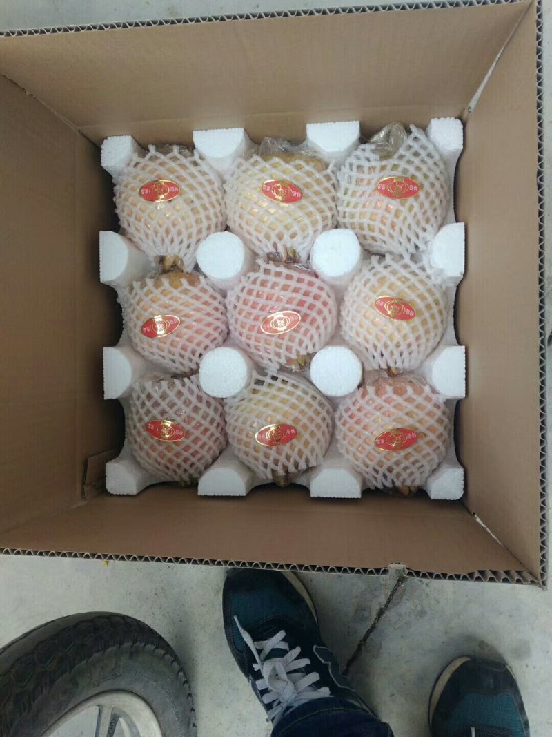 临潼石榴--6个试吃装35包邮
