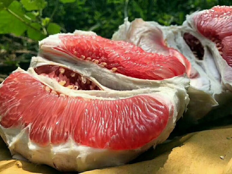 平和琯溪黄金蜜柚两粒装