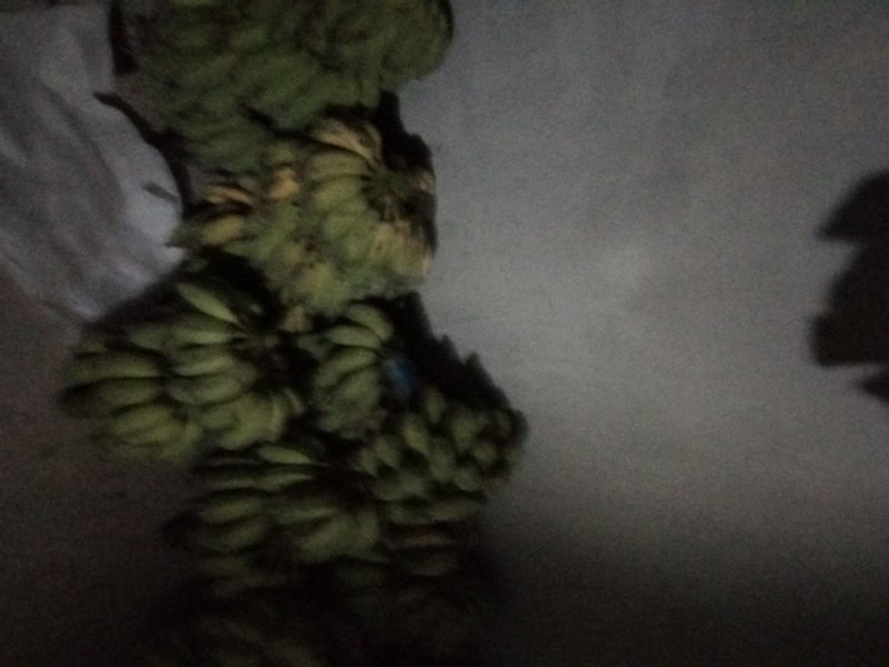 粉蕉，2019-10-02