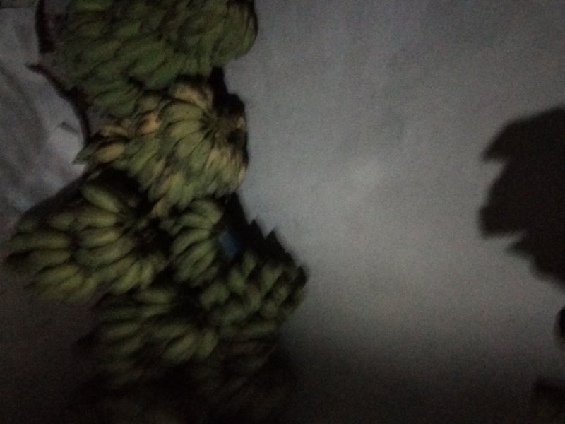 粉蕉，2019-10-02