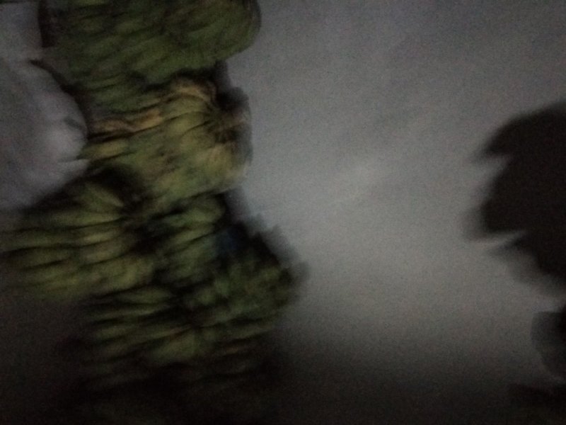 粉蕉，2019-10-02