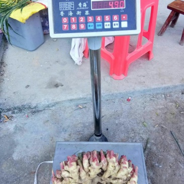 生姜鲜姜