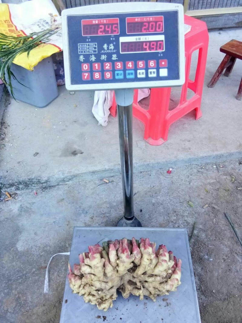 生姜鲜姜