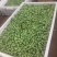豆瓣菜绿色食品