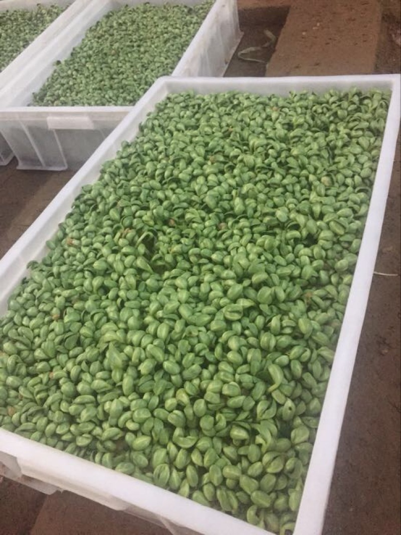 豆瓣菜绿色食品