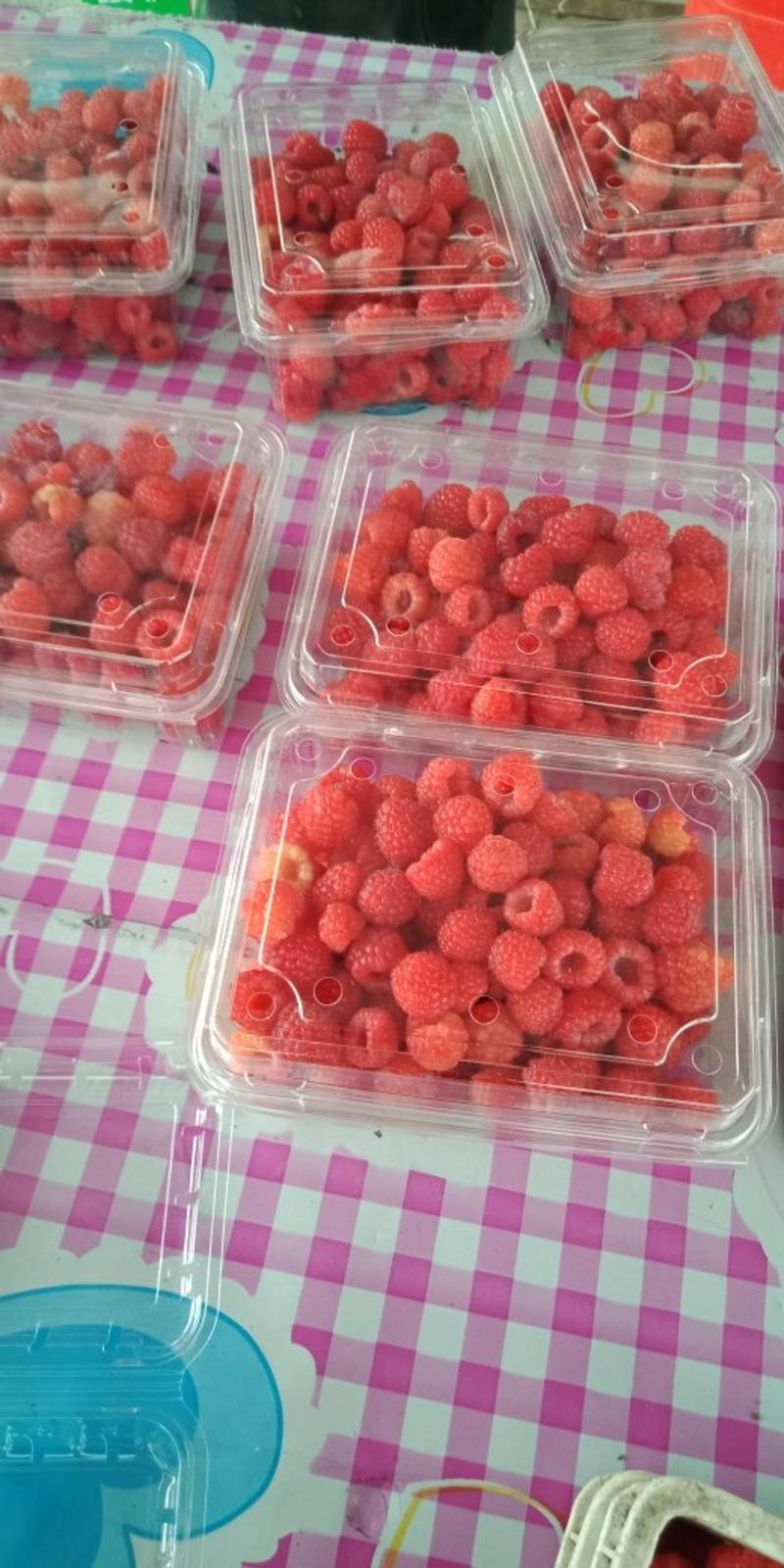 树莓果，出售树莓鲜果，红树莓鲜果