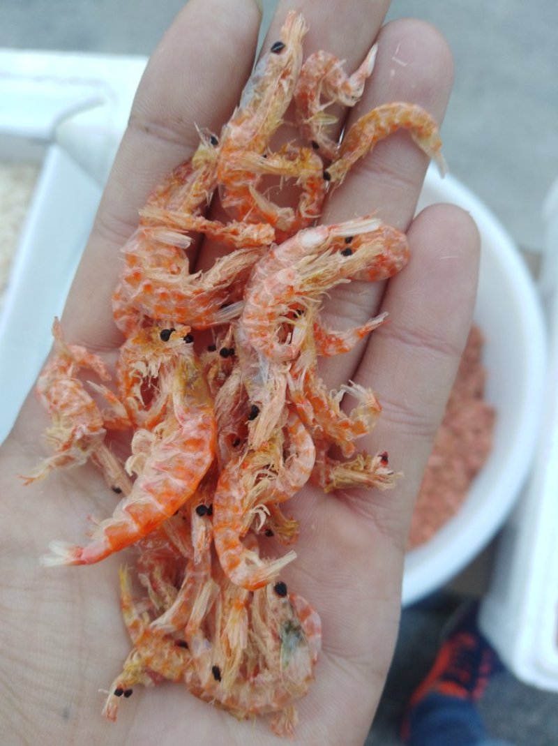 红虾皮